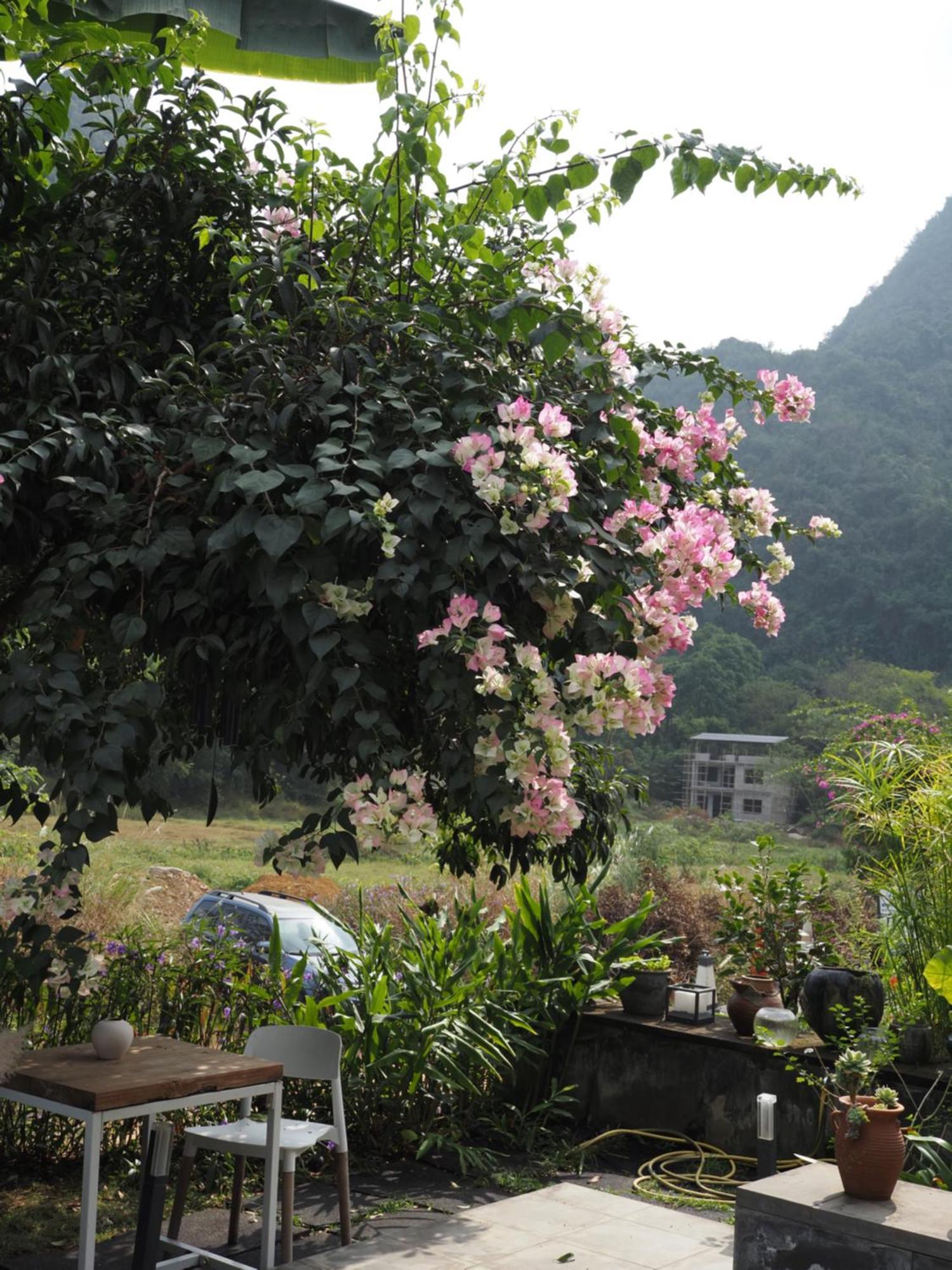 Yangshuo Hillside Homestay Exterior photo