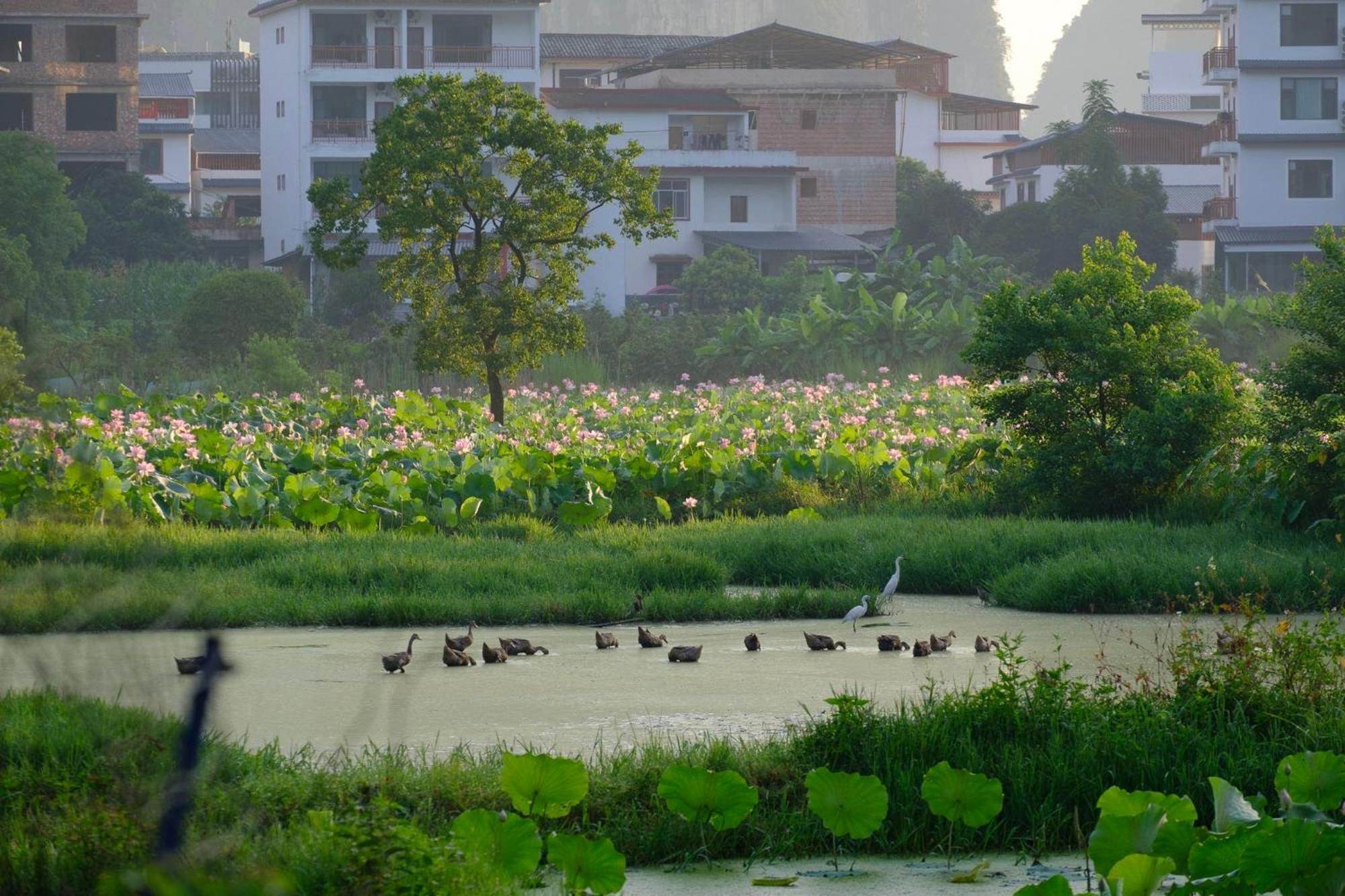 Yangshuo Hillside Homestay Exterior photo