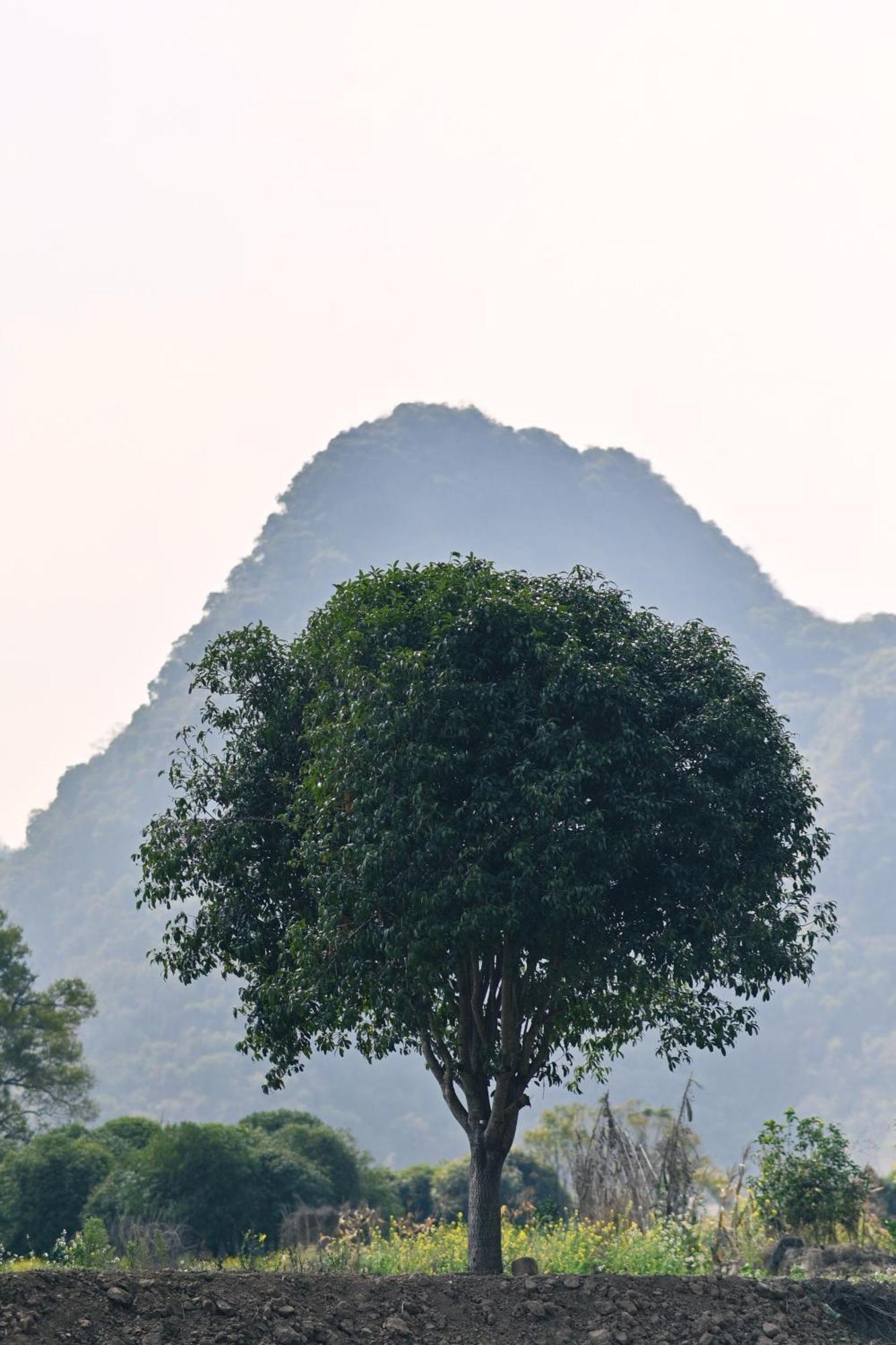 Yangshuo Hillside Homestay Exterior photo