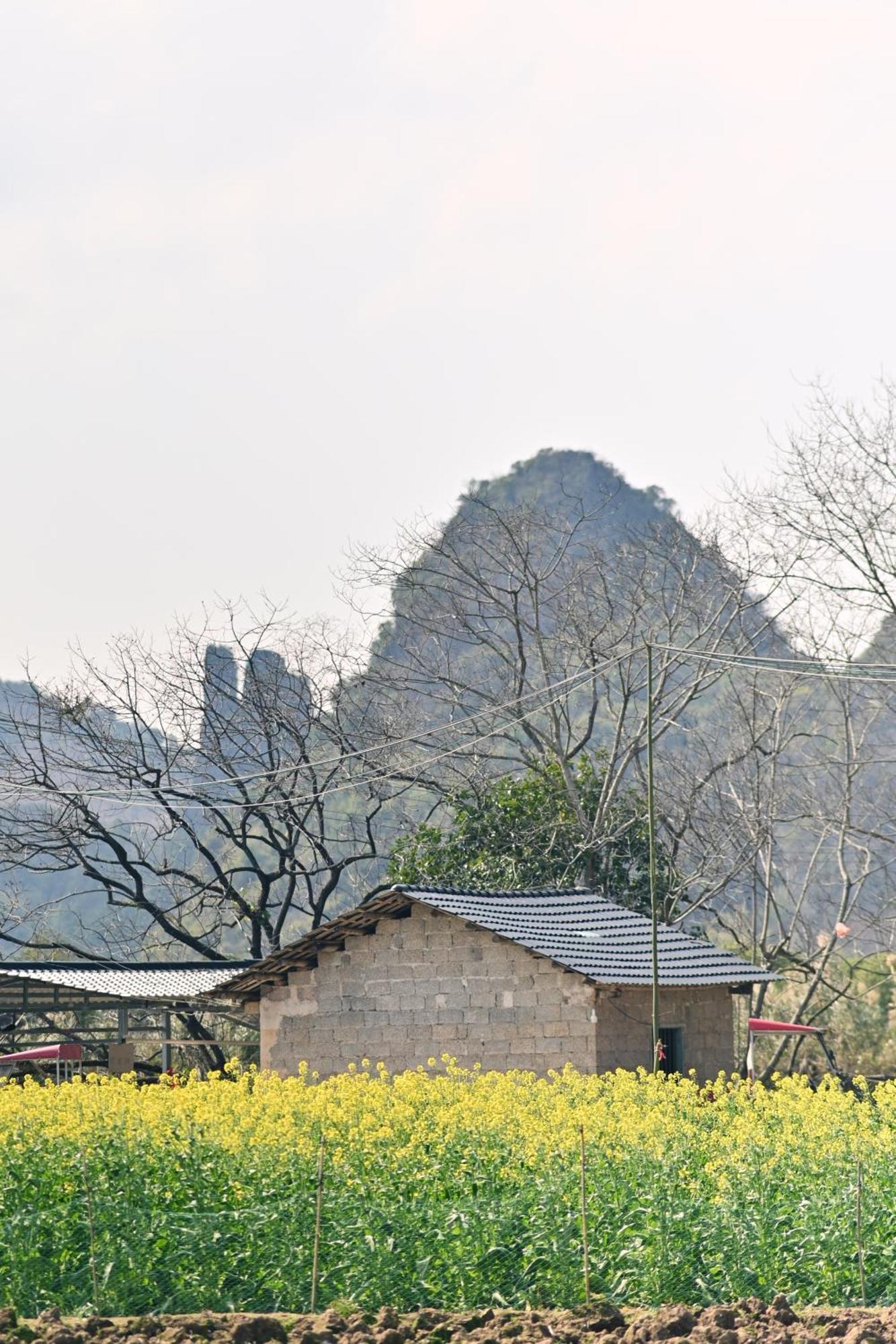Yangshuo Hillside Homestay Exterior photo
